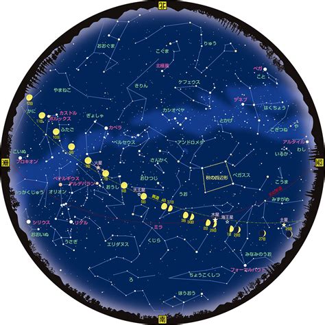 12 21 星座|12月21日星座